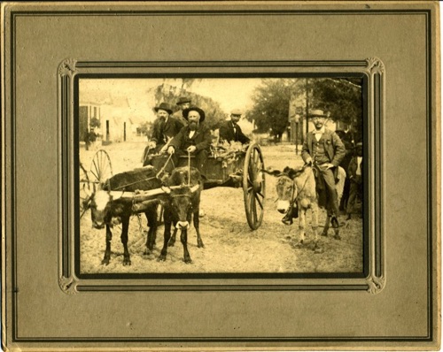 In Gainsville Florida: Dr. C.P. Smith, Sr. - driving; Nathaniel Thompson - chin covered up; John Knapp on front seat; Thaddeus Durland - rear with cap; Lewis Masterson on donkey. March, 1878 chs-006062